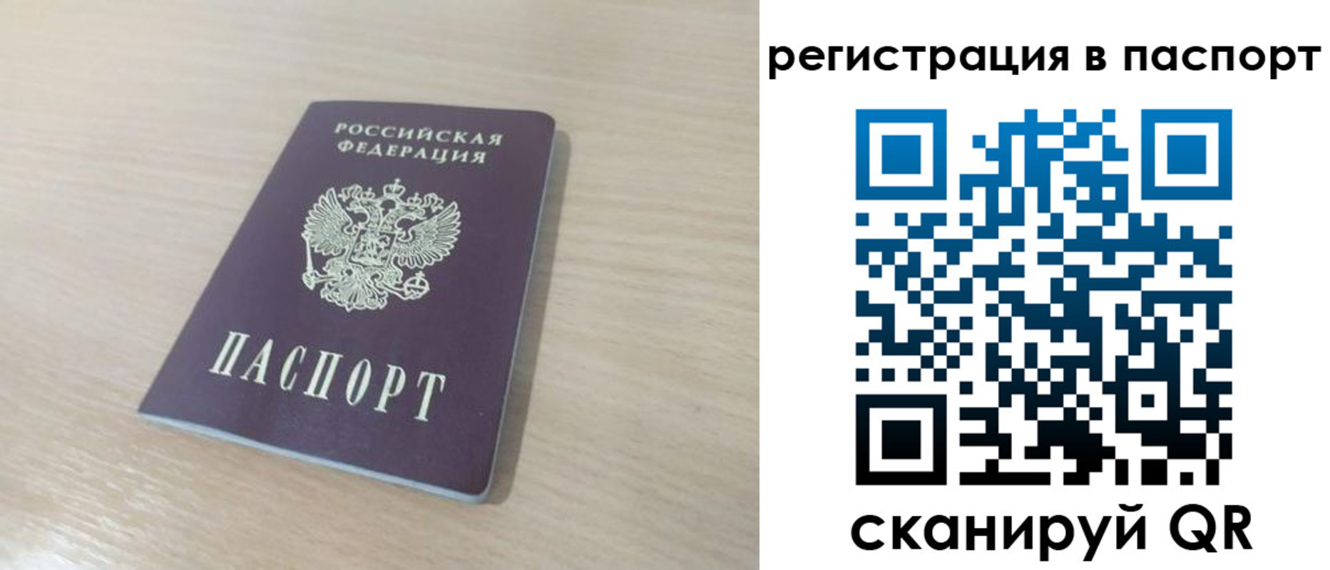 прописка гарантия в Мурманске
